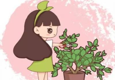 现在不修剪,你的花还想活过夏天？做梦！