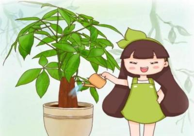 夏天这么浇水,花旺的像打了药,肥料营养液全省了！