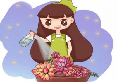 多肉养成葡萄串,叶子亮晶晶,邻居看了都羡慕！