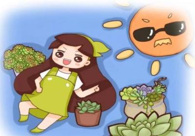 一夜之间,多肉变成小包子,全家人都惊呆了！