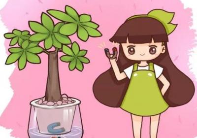 水里丢点它,根比萝卜还粗,黄叶全没了！