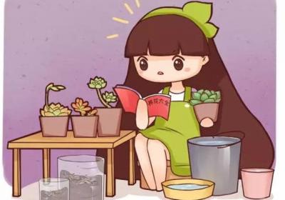 多肉叶子干成皮？恭喜你,养成多肉老桩啦！