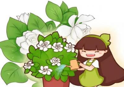 栀子夏天长最快,这么养10天就爆满盆,黄叶全没了！