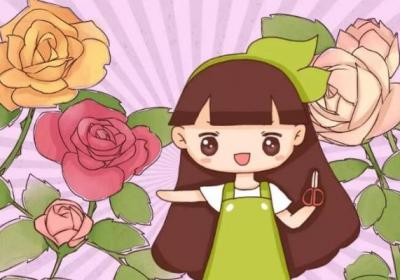 月季杜鹃这么剪,花多枝壮,年年开爆盆！