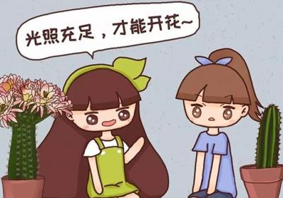 他家的仙人球开花100朵,你家的还在装死？到底为啥？