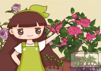 这5种花再便宜也别买！剪个枝就能活,不花1分钱！