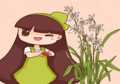 兰花3年不开花？养兰大神教你这1招,1个月养出极品天价兰！