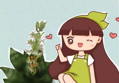 你家的芦荟发财树…从来不开花？只学1招,连开5年不是事！