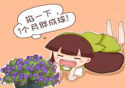 天竺葵矮牵牛…掐1下,1个月胖成球！