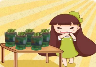 饮料瓶剪1刀,拿来养花,1个月不浇水竟然长疯了！