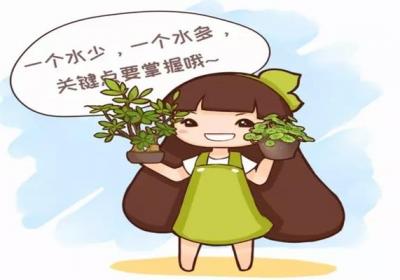 记住1句话,这10种花想养死都难！