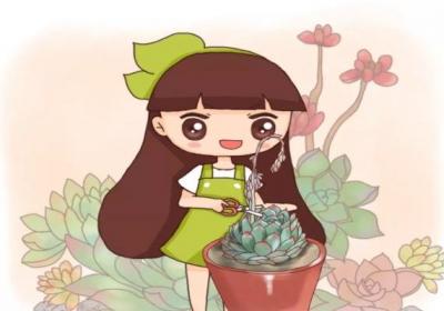 多肉铜钱草…开花后赶紧剪,否则立马死翘翘了！