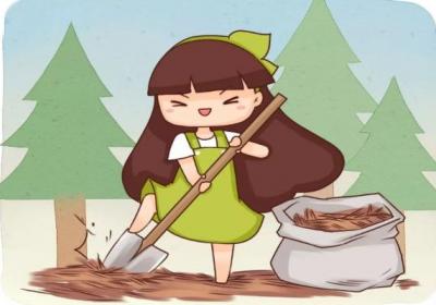 养花就用这种土,不怕烂根黄叶,花蹭蹭疯长！