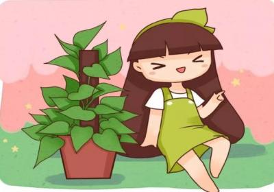 绿萝拿绳子一绑,叶子长成A4纸大,1个月爬满墙！