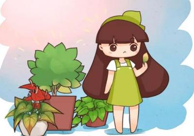 绿萝文竹盆里掺点它,不黄叶不招虫,一年撑爆两个盆！