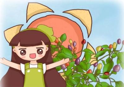 阳台种五彩椒,熊孩子以为是樱桃,竟然给偷走了！