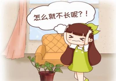 绿萝君子兰…长太慢？学2招,蹭蹭爬上墙,叶子绿得冒油！