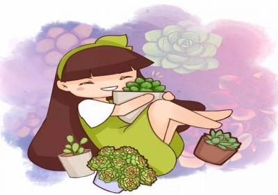 塑料瓶扣多肉上,竟然越长越水灵,10天蹭蹭爆盆！