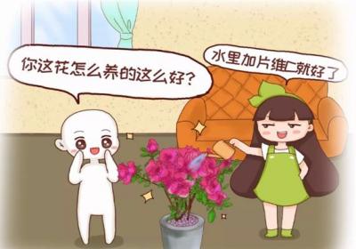 浇水时多一个小动作,花疯长爆盆,叶子绿得滴油！