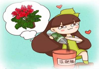 沤肥加点它,不臭不招虫,让花猛长撑爆盆！