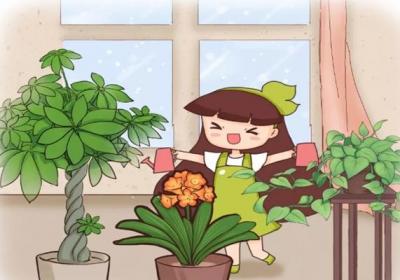冬天浇水一句话,保花能活20年！