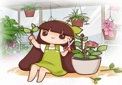 这花千万别花钱买,剪个枝就能活,好看又好养！