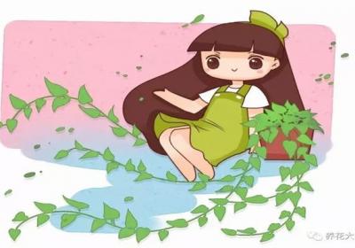 绿萝文竹只用3招,发疯狂长99米,叶子油亮密不透风