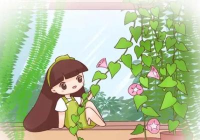 植物窗帘怎么种出来？这样做一个月搞定！