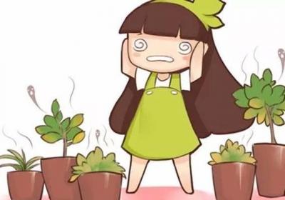 犯了这10个错误,你还想养好花？别做梦了！