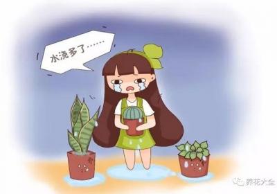这20种花越旱越好养,水一多就死！
