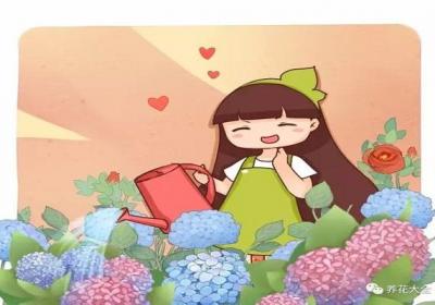 绿萝发财树…不这么浇水,黄叶烂根全找上门！
