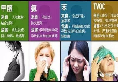 24种花专除室内污染,多活10年不是事儿！