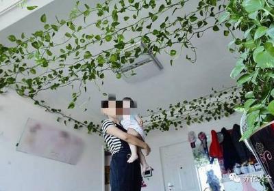 她家的绿萝都爬上房顶了！轻松三步你也能养出来