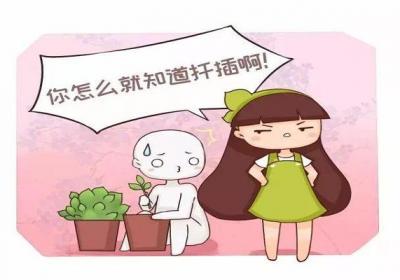 君子兰吊兰长小芽,直接摘下来就能活！