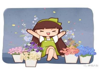 这几种花轻松就能养成一面花墙,邻居见了都羡慕