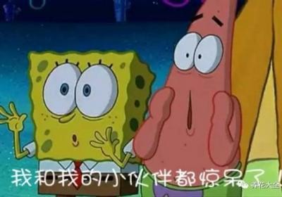 让天竺葵、矮牵牛、三角梅开满怀的诀窍,一学就会