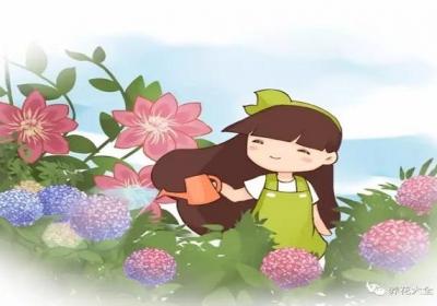 叶面喷点儿这个,再也不用施肥了！