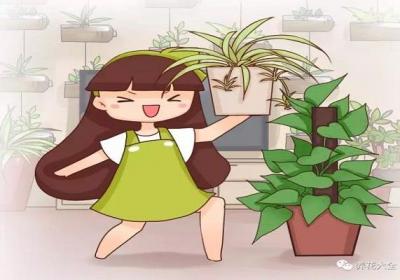 养花摆对位置,才能聚财挡灾,摆错了…