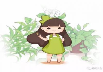 绿萝吊兰贼亮贼绿不黄叶,3招就搞定！