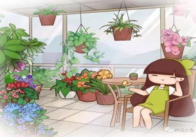 这10种花越贱养越疯长,太勤快养不好！