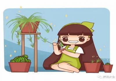 秋天养花就靠这7点,学会了保你花开满盆！