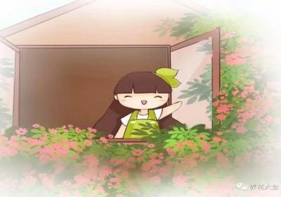 这5种花,室内光照不好,也能养成花海瀑布！