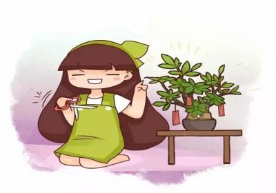 发财树看见这种枝,赶紧剪,要不然过两天就彻底长残！