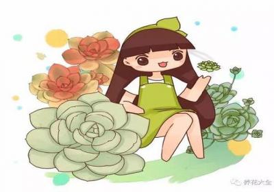 你的60盆多肉变空盆,人家的直接养成了小山！
