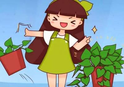 发财树绿萝稀稀拉拉？肯定是你没做到这一点！