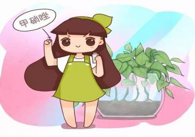 水培烂根臭烘烘？赶紧丢点这个进去,立马解决！