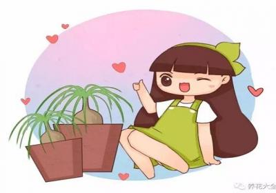 万万没想到,家里养的花居然变成了酒瓶子、弹簧！