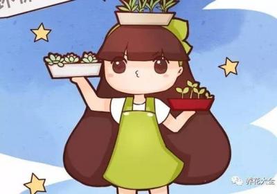 她养花10年从来没买过花盆,简单几招,废物变盆栽！