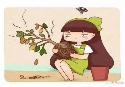 养了10年的花突然间就死了？赶紧这样做,还能捡回来一条命！