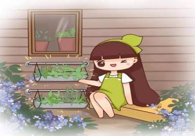 现在扦插这几种花,生根超快快,疯长到停不下来！